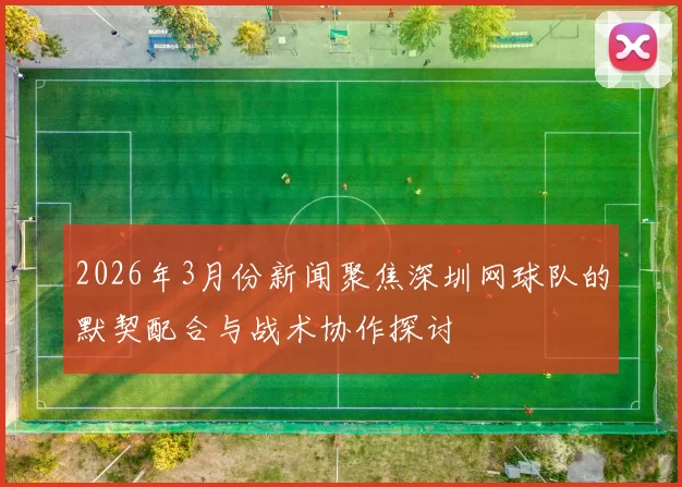 2026年3月份新闻聚焦深圳网球队的默契配合与战术协作探讨