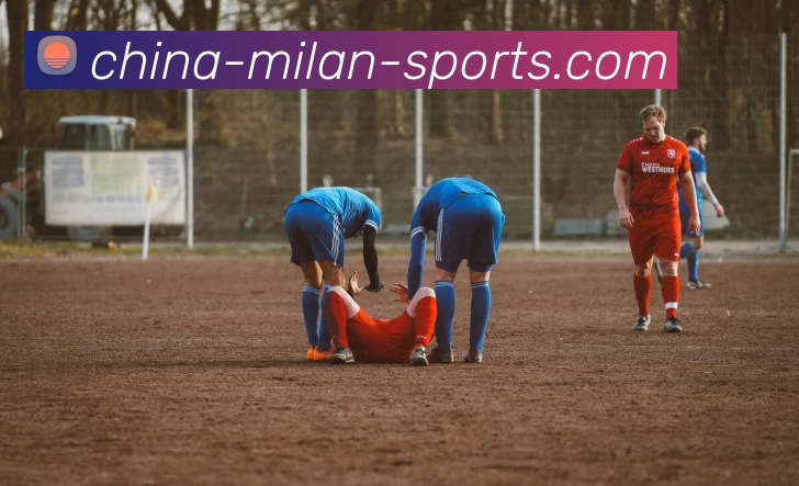 App Interface Preview